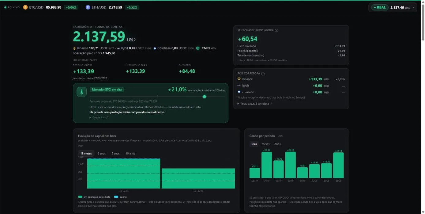 Dashboard do Theta: patrimônio, lucro realizado, o painel «se fechasse tudo agora» e o termômetro do mercado.